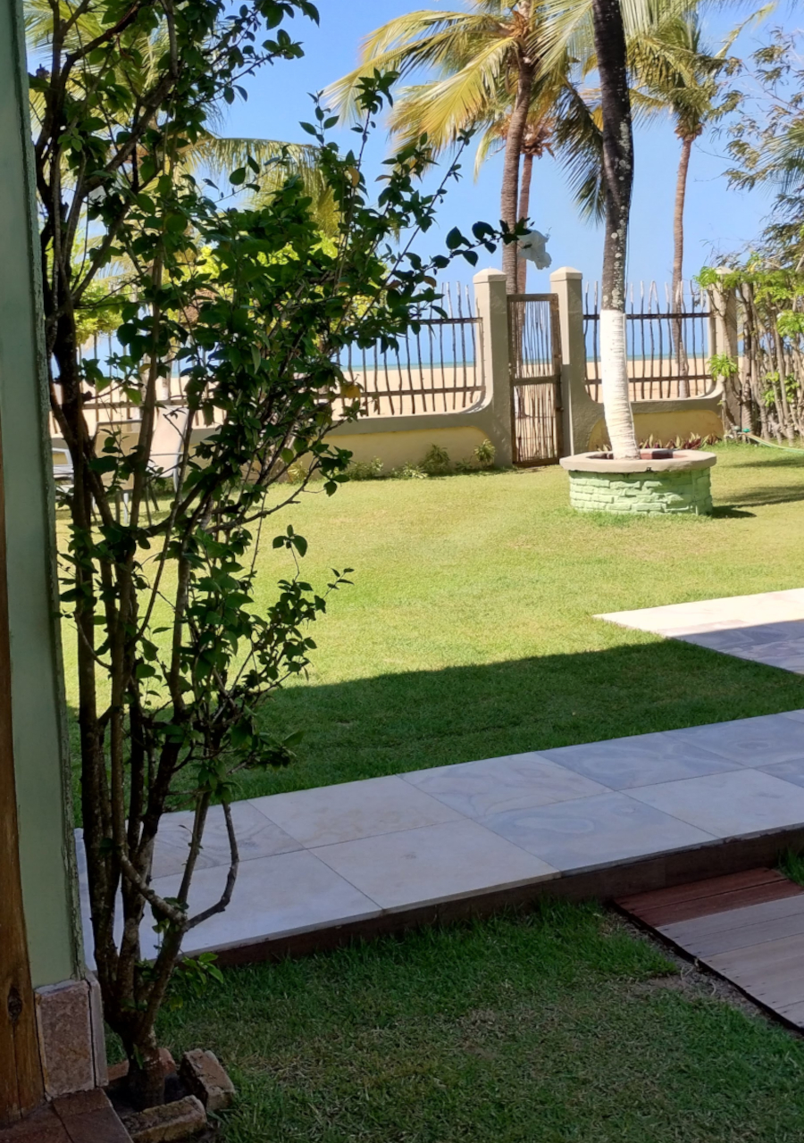 VISTA 3
